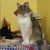 Отзыв от Фаина Назарова